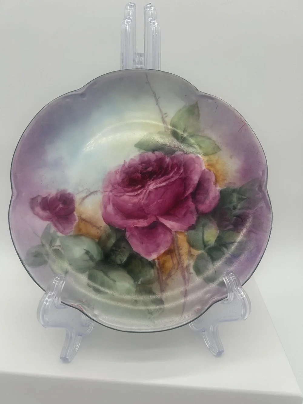 Antique Hutschenreuther Alice Bavaria Hand Painted Pink Roses Plate 1900-1920